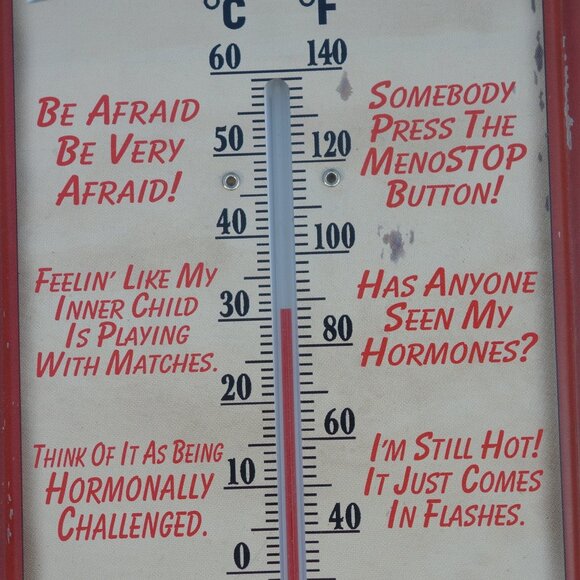 Vintage MenoPauseMeter Metal Thermometer with Mounting Holes and Screws - Picture 5 of 11